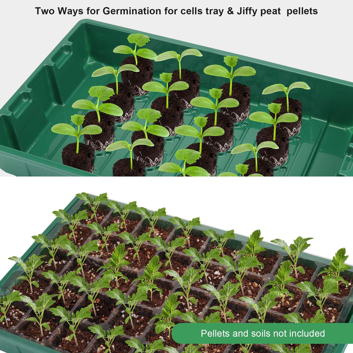 MIXC seed starter tray with stackable bottom base to save space during germination.