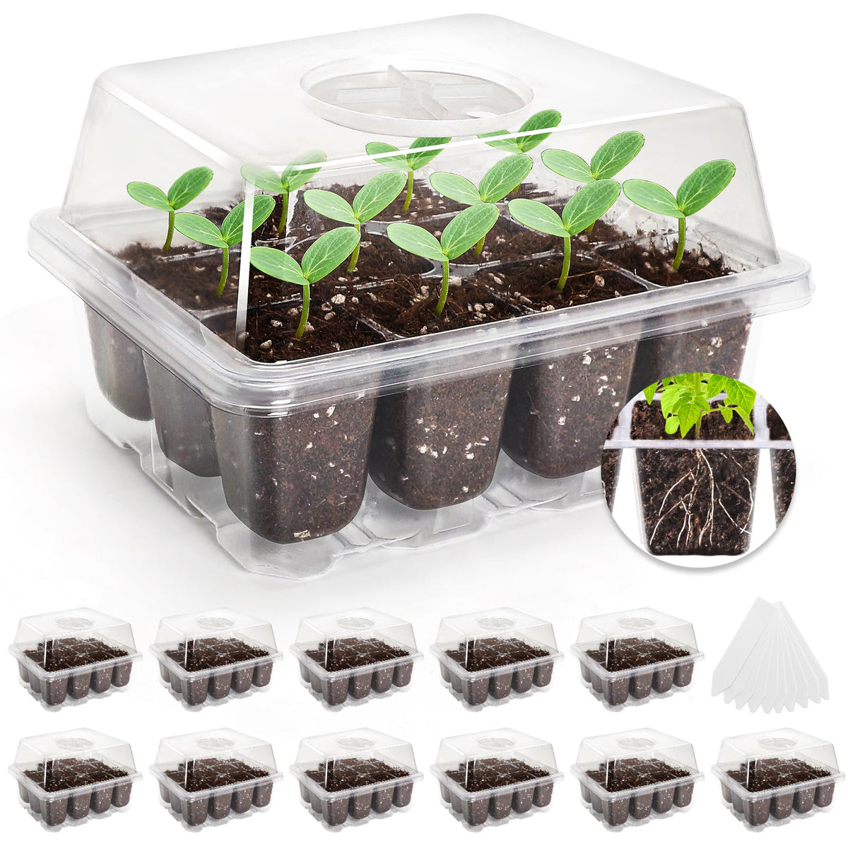 MIXC seed starter tray with 120 cells for efficient germination and monitoring.
