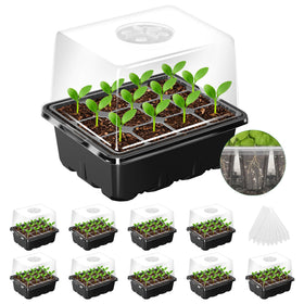 MIXC seed starter tray with elevated dome ready for strong germination