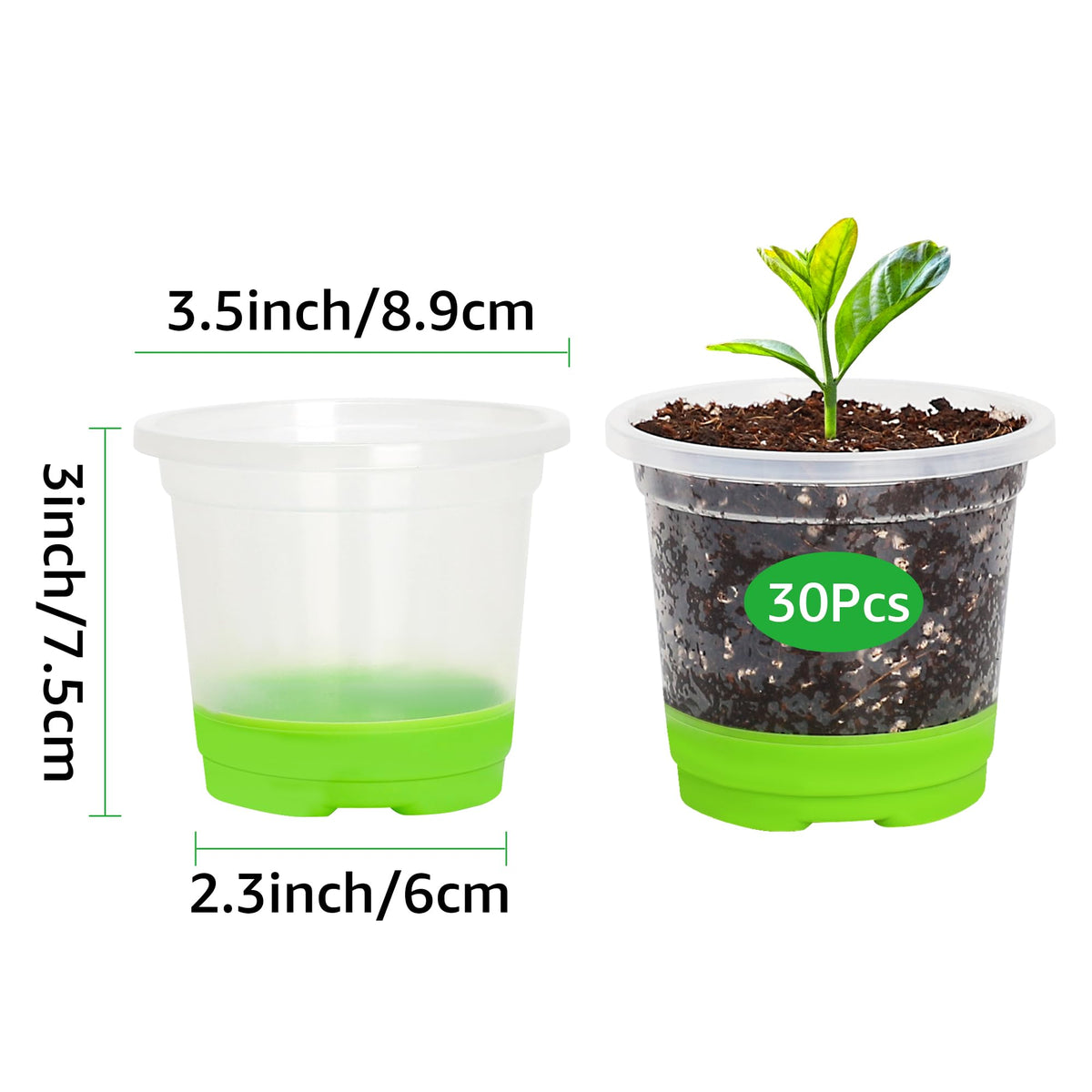 MIXC transparent 3.5 inch seedling pot for quick root observation.