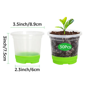 MIXC transparent 3.5 inch seedling pot for quick root observation.