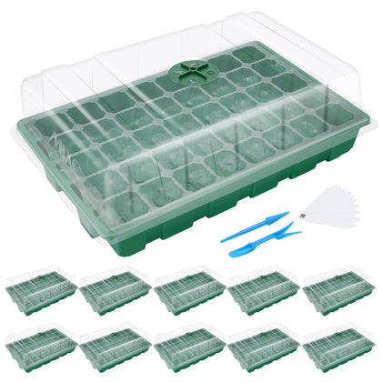 MIXC seed starter tray with transparent cells for easy seed monitoring.