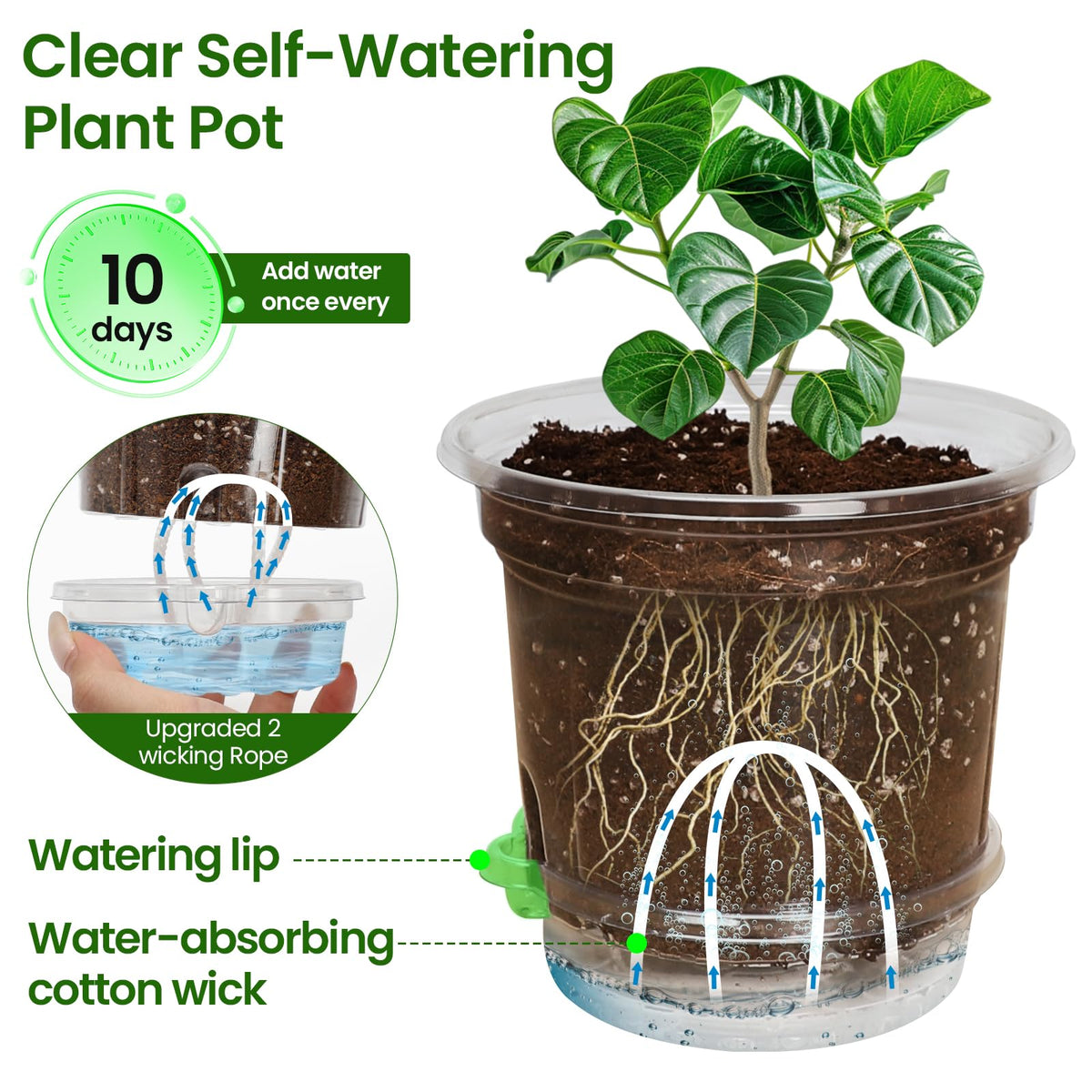 MIXC self-watering pot with wick system promotes steady moisture for thriving seedlings