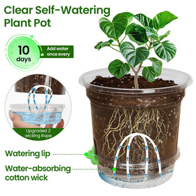 MIXC self-watering pot with wick system promotes steady moisture for thriving seedlings