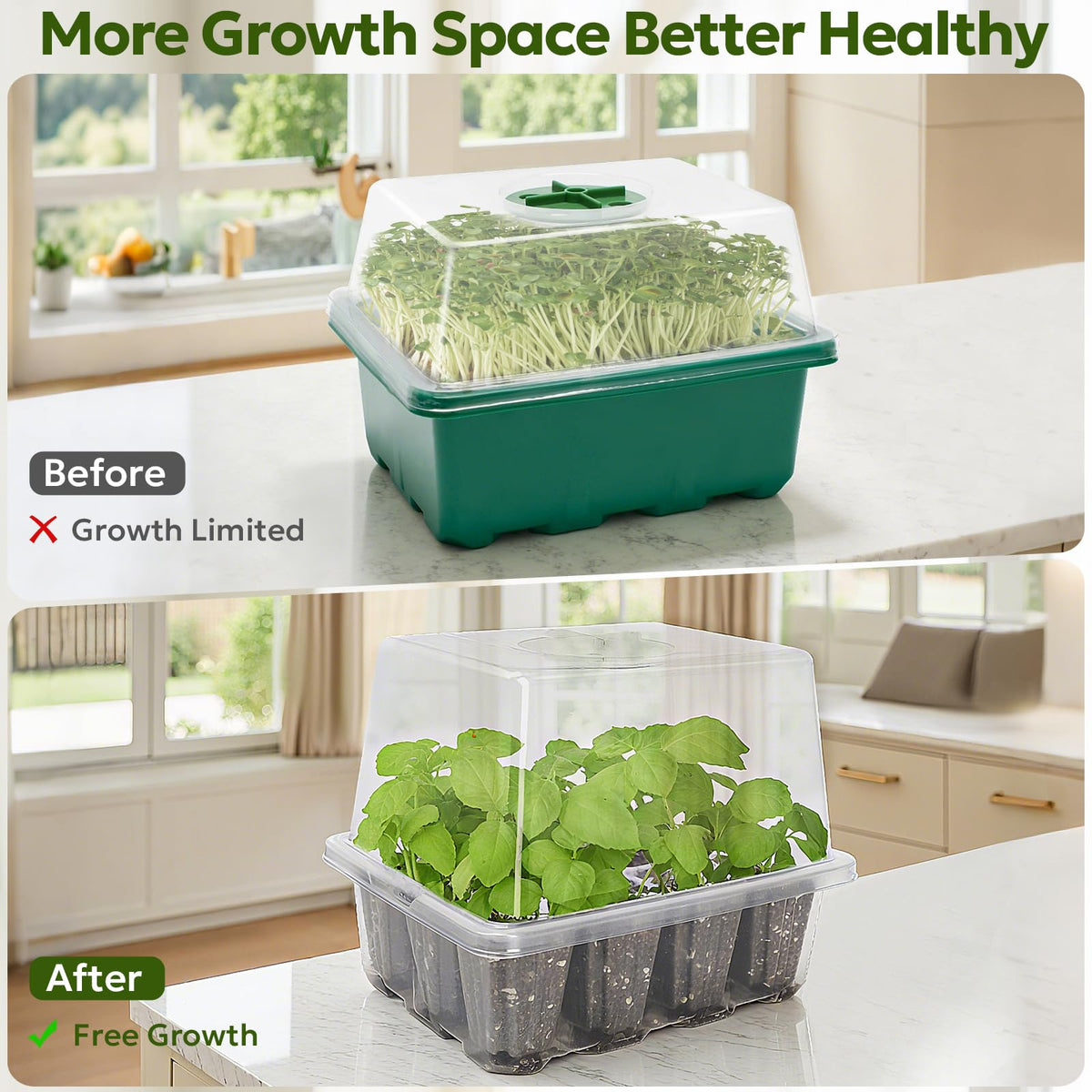 MIXC seed tray with side grip design eases transplanting and watering.