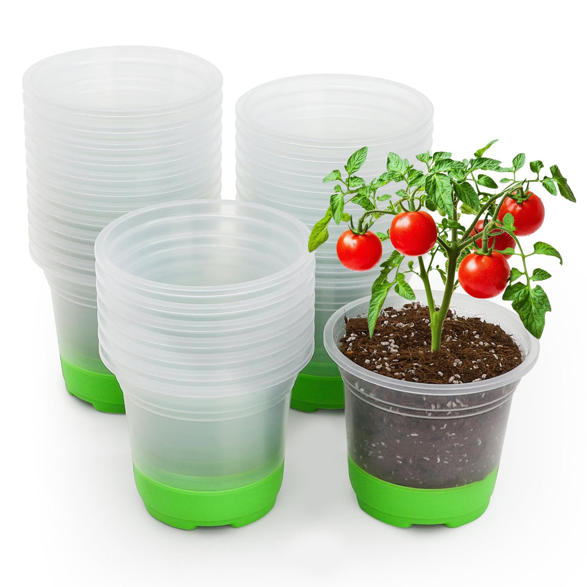 Mixc silicone-base clear nursery pot, 5-inch, enables easier transplanting.