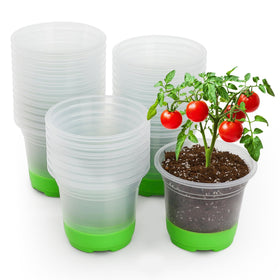 Mixc silicone-base clear nursery pot, 5-inch, enables easier transplanting.