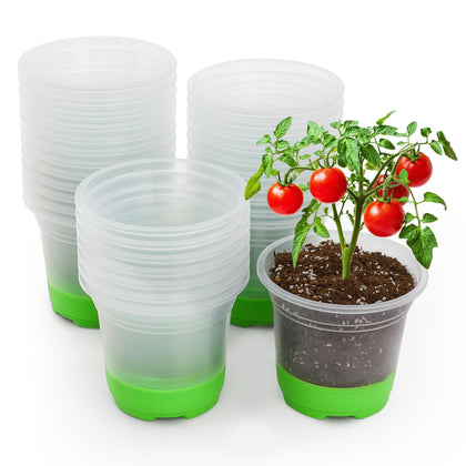Mixc silicone-base clear nursery pot, 5-inch, enables easier transplanting.