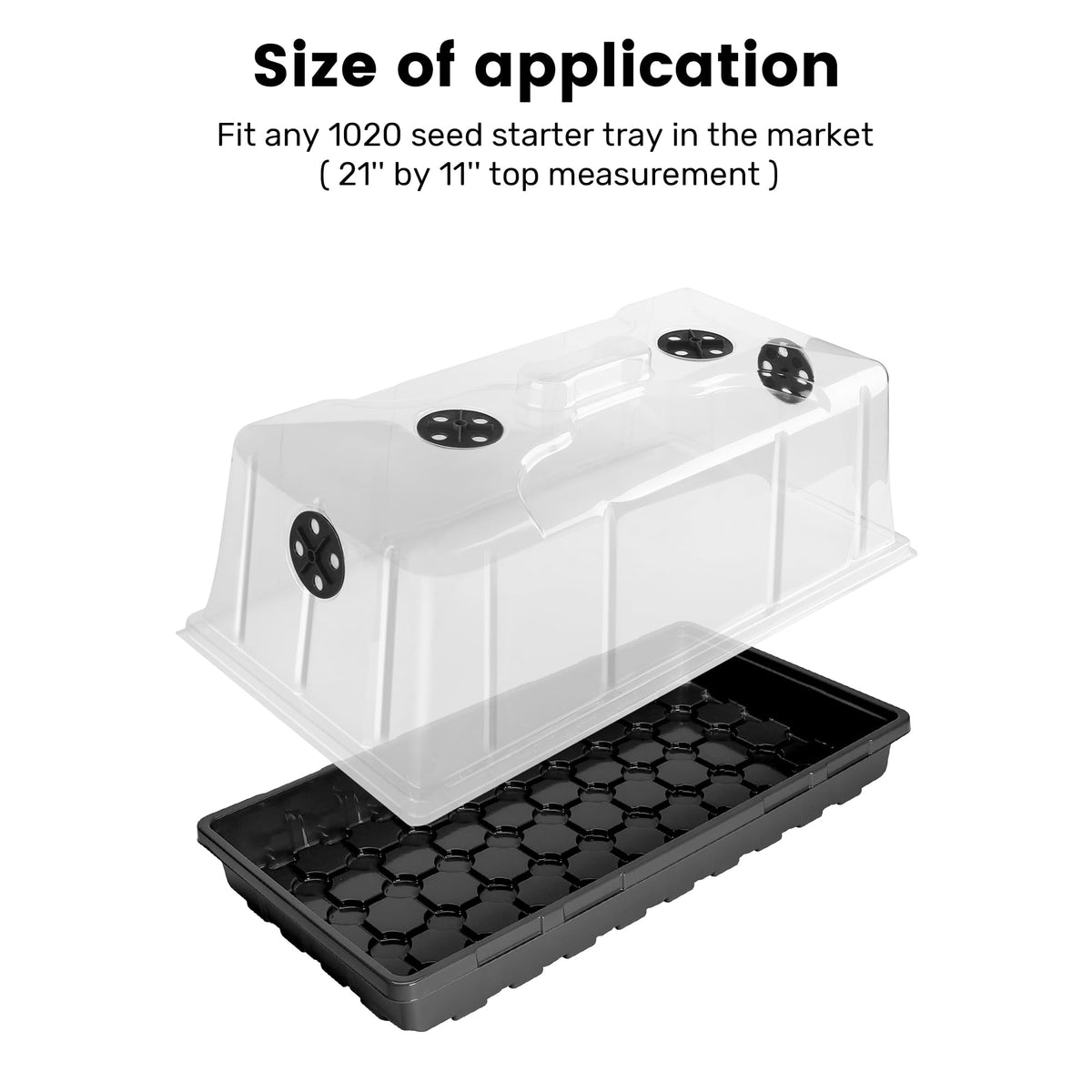 MIXC tall dome over a 1020 tray enabling space for roots.