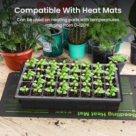 MIXC transparent cell trays for easy monitoring of seeds and roots.