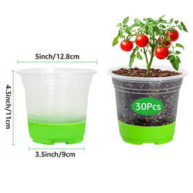 Mixc transparent nursery pot shown for easy seedling monitoring.