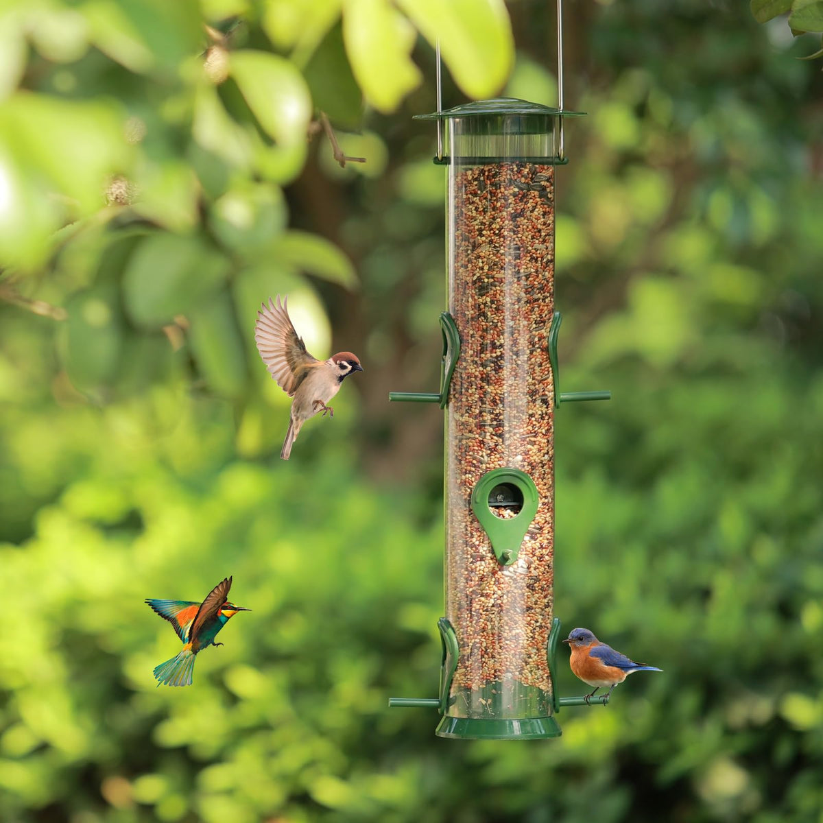 MIXXIDEA 18.5-inch height enhances bird viewing in your garden.