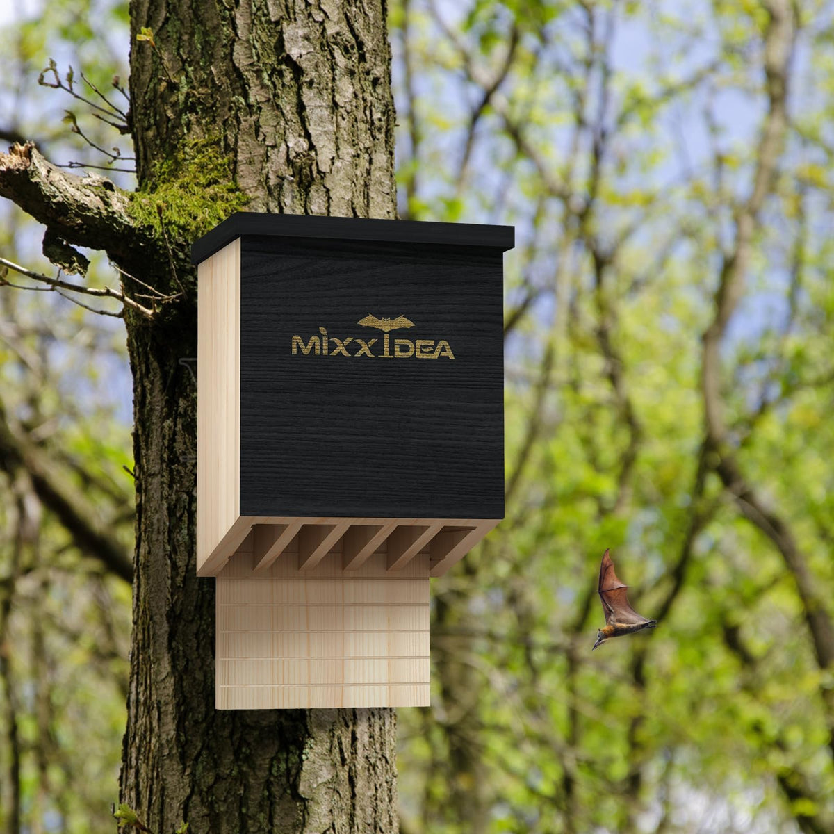 MIXXIDEA small bat colony habitat in a dual-chamber box