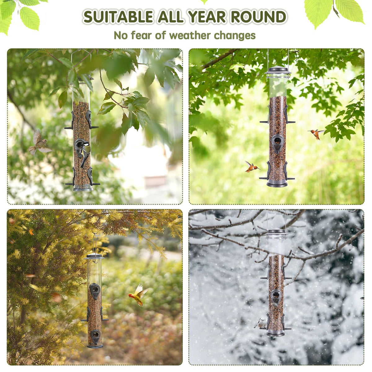 MIXXIDEA six-port design invites finches, sparrows, and cardinals.