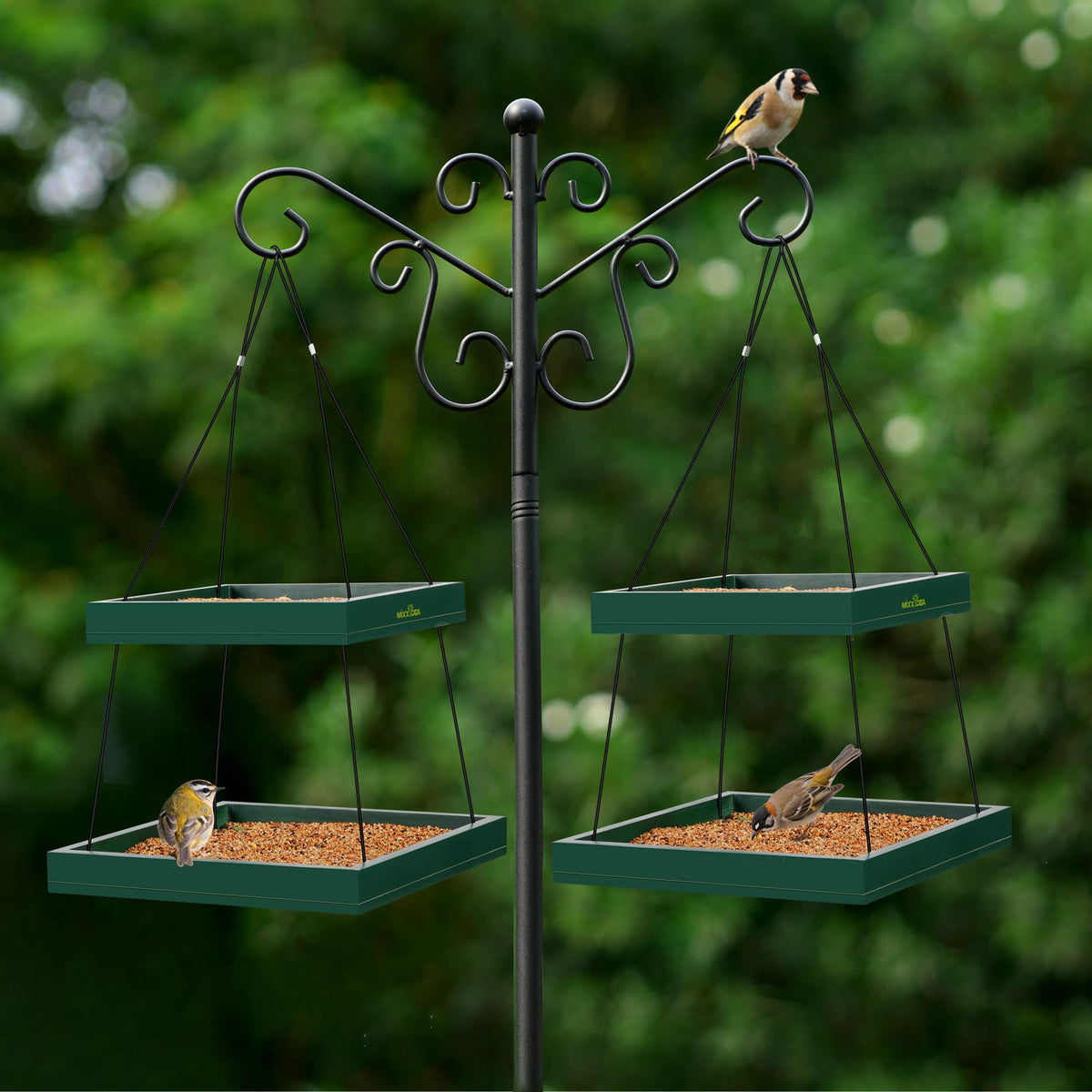 MIXXIDEA easy-clean tray lets water rinse through while seeds stay in place