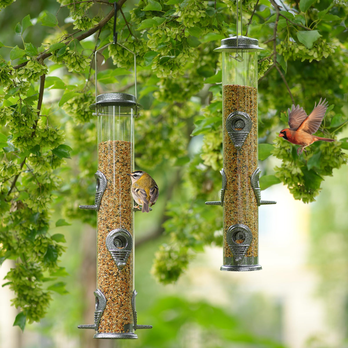 MIXXIDEA attracts hummingbirds, cardinals, sparrows in gardens