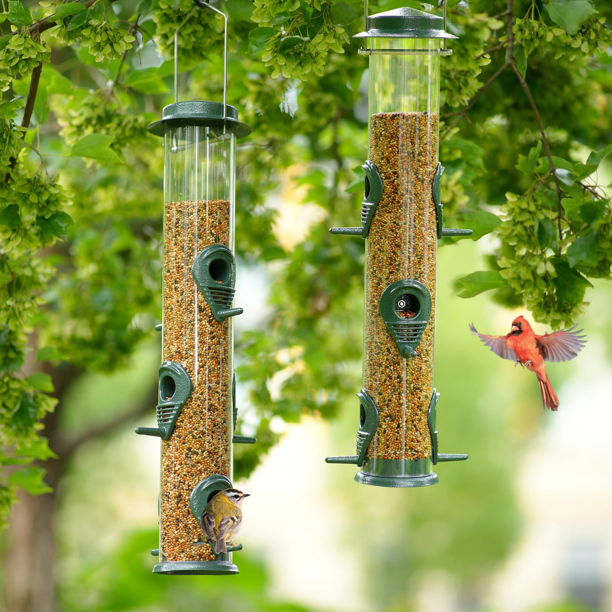 MIXXIDEA hanging feeder suited for garden, patio, or balcony