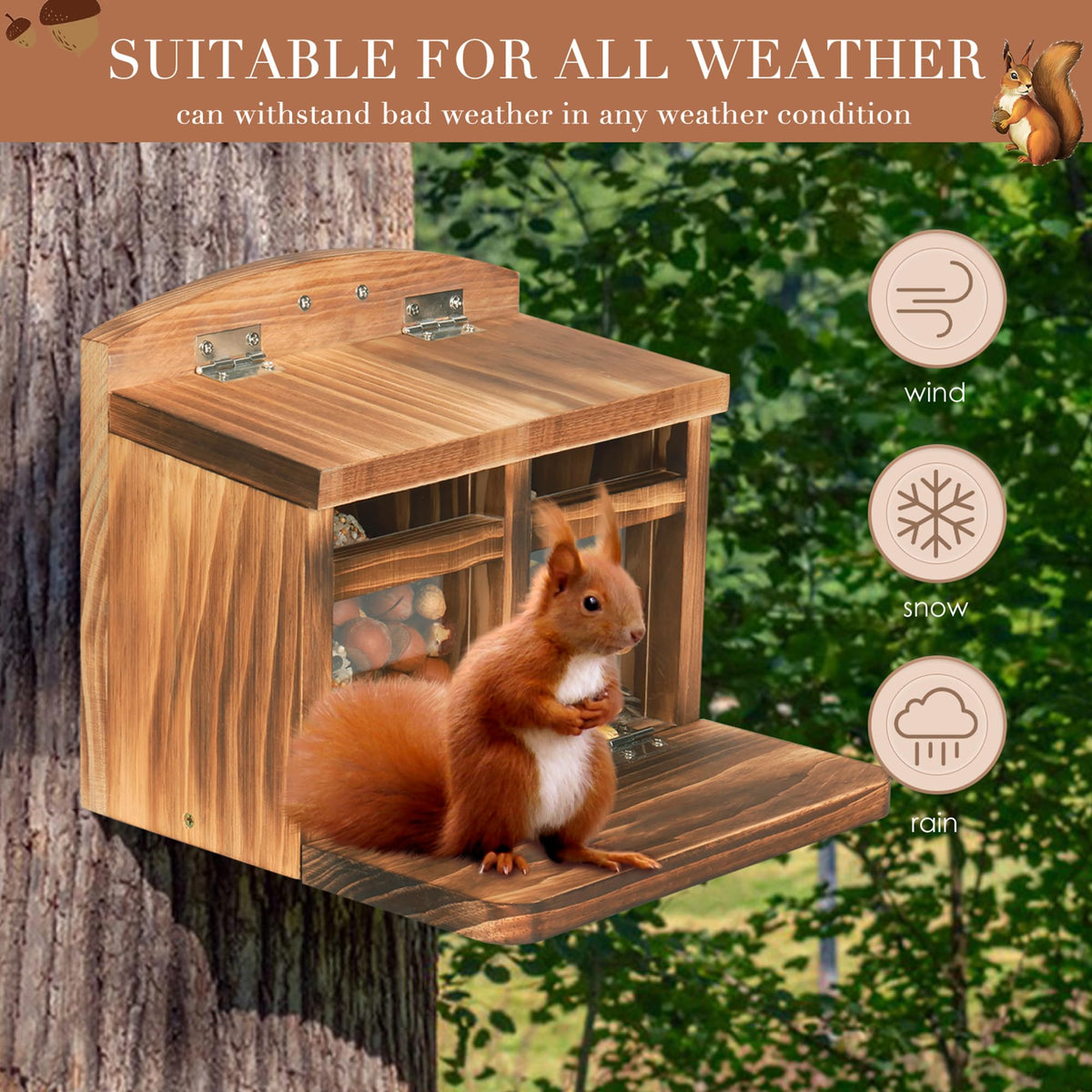 MIXXIDEA large squirrel feeder house inside compartment showcases roomy food space for nuts.