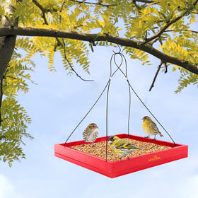 MIXXIDEA squirrel-deterrent feeder tray helps protect seed from pests.