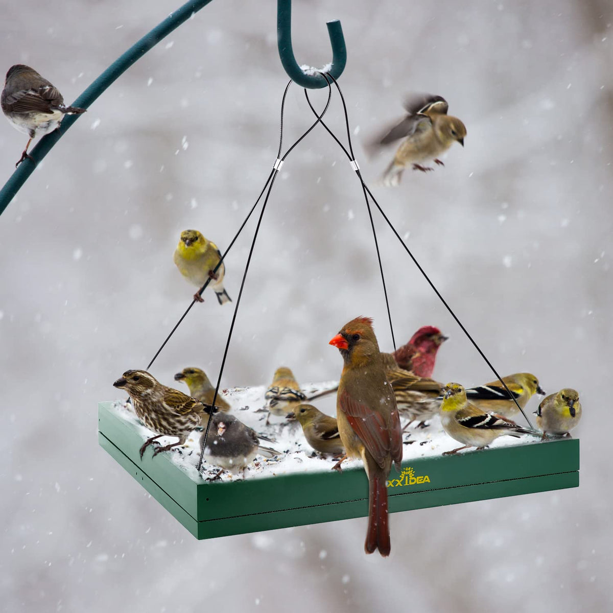 MIXXIDEA squirrel feeder tray with sturdy gaps protects seeds from pests.