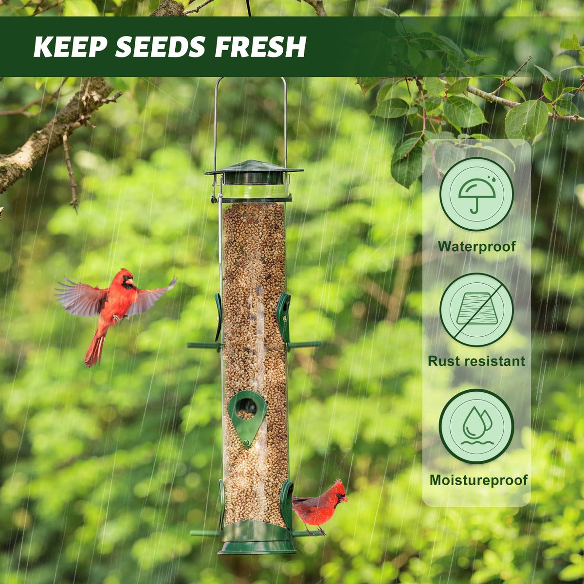 MIXXIDEA tube feeder with transparent shell for easy seed monitoring.