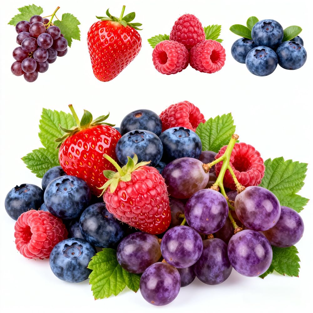 Mixrug 1003+ fruit seeds variety pack for home gardening and diverse fruit options.