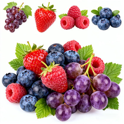 Mixrug 1003+ fruit seeds variety pack for home gardening and diverse fruit options.