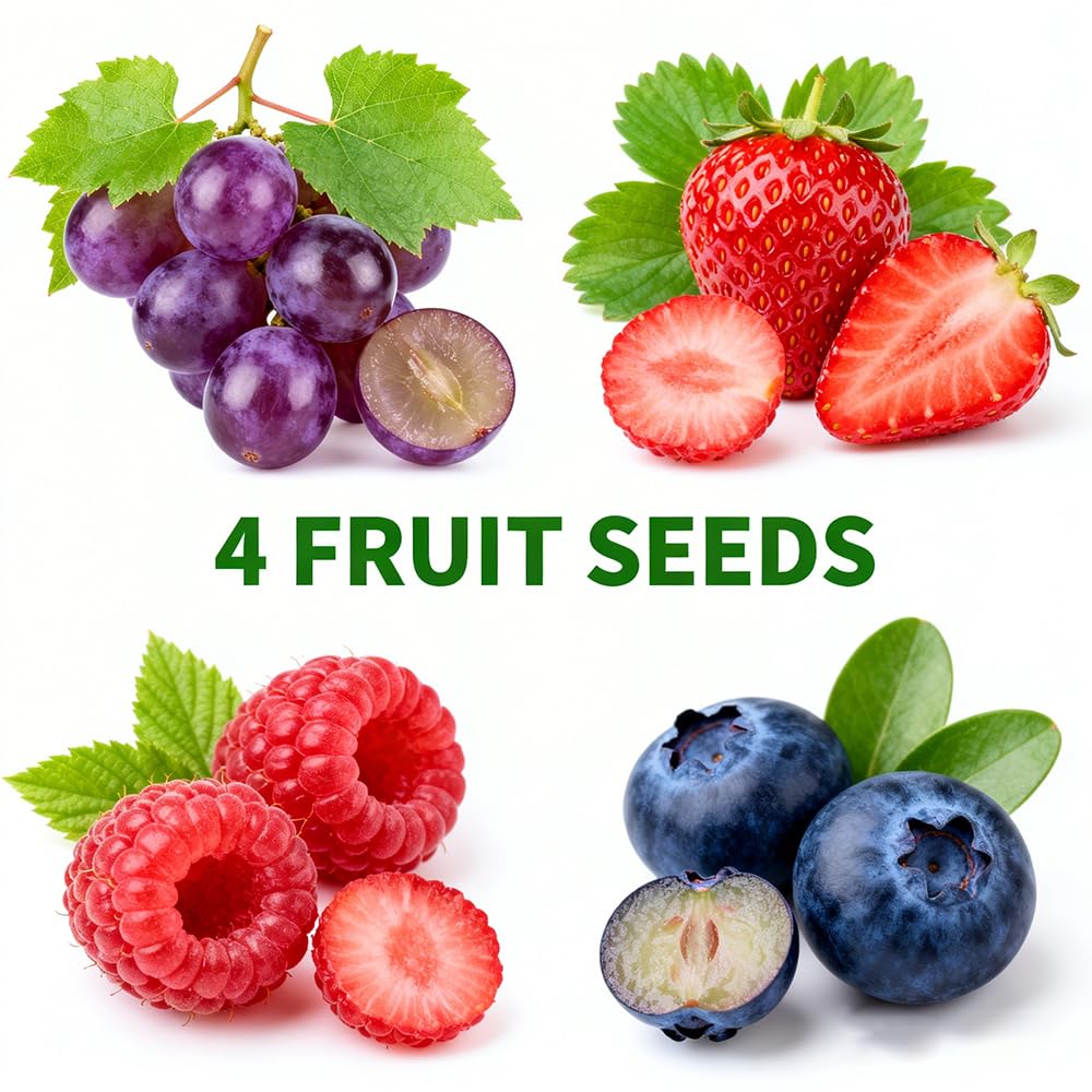 Mixrug 1003+ strawberry seeds for fresh berries in your garden.