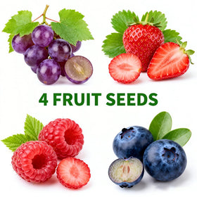 Mixrug 1003+ strawberry seeds for fresh berries in your garden.