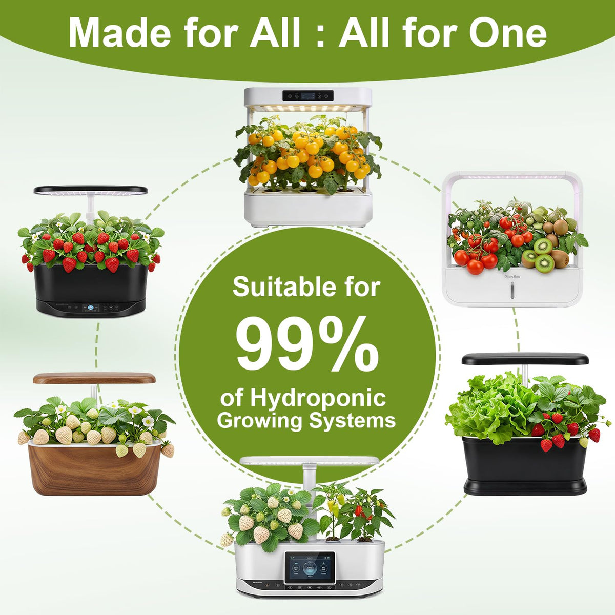 Mixrug 12 varieties seeds pack showcasing diverse fruit options.