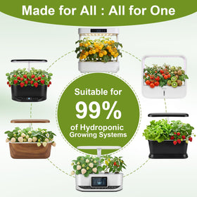 Mixrug 12 varieties seeds pack showcasing diverse fruit options.