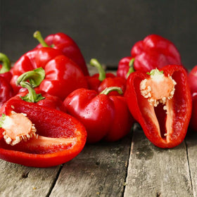 Mixrug pepper seeds in seed tray for starting a home garden