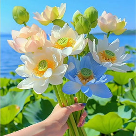 Mixrug aquatic plant seeds suited for indoor and outdoor ponds