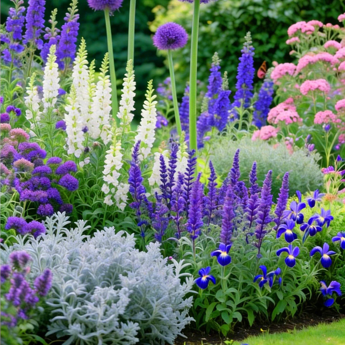 Mixrug butterfly bush seeds pack shows vibrant purple blooms for a colorful garden border.