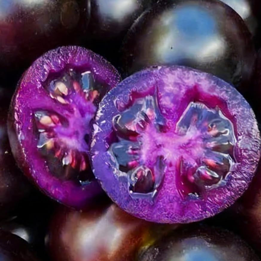 Mixrug Dwarf Cherokee seed packet label conveys non-GMO heirloom assurance.