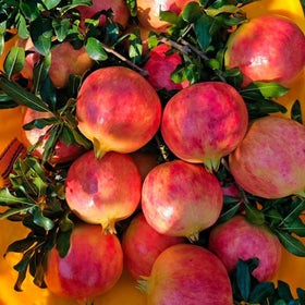 Mixrug Dwarf Pomegranate seeds closeup—open-pollinated variety for authentic garden flavor.