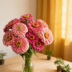 Mixrug marigolds offer fragrant foliage, easy-care color that brightens outdoor spaces.
