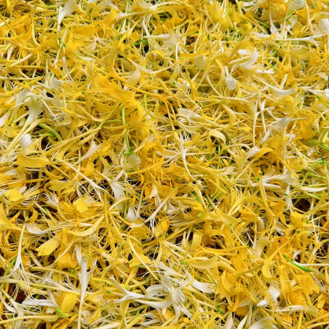 Mixrug seeds come in multiple per packet for lush planting