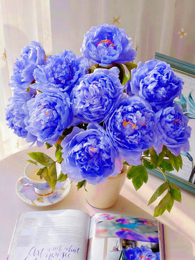 Mixrug Mix Peony Seeds sowing guide view highlighting fall planting and 1 inch depth
