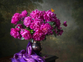 Mixrug Peony Seeds windowsill plant in sunlit pot