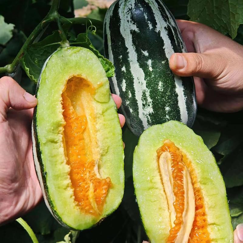 Mixrug Orangic Horned Melon in salad or drink preparation