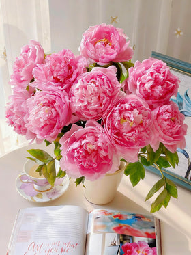 Mixrug peony garden border display with lush, eye-catching blooms.