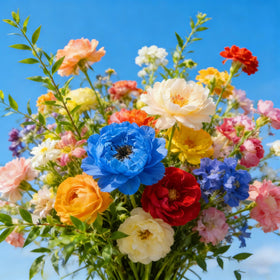 Mixrug peony seeds packet closeup showing easy planting and colorful blooms.
