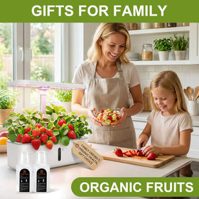 Mixrug ready-to-use garden start kit for quick home harvests on windowsill.
