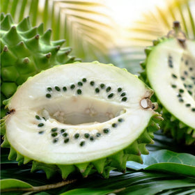 Mixrug soursop seed packet close-up for home gardening, easy start to a tropical fruit tree.