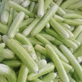 Mixrug White Jade cucumbers fresh from the vine for crisp snacks and salads