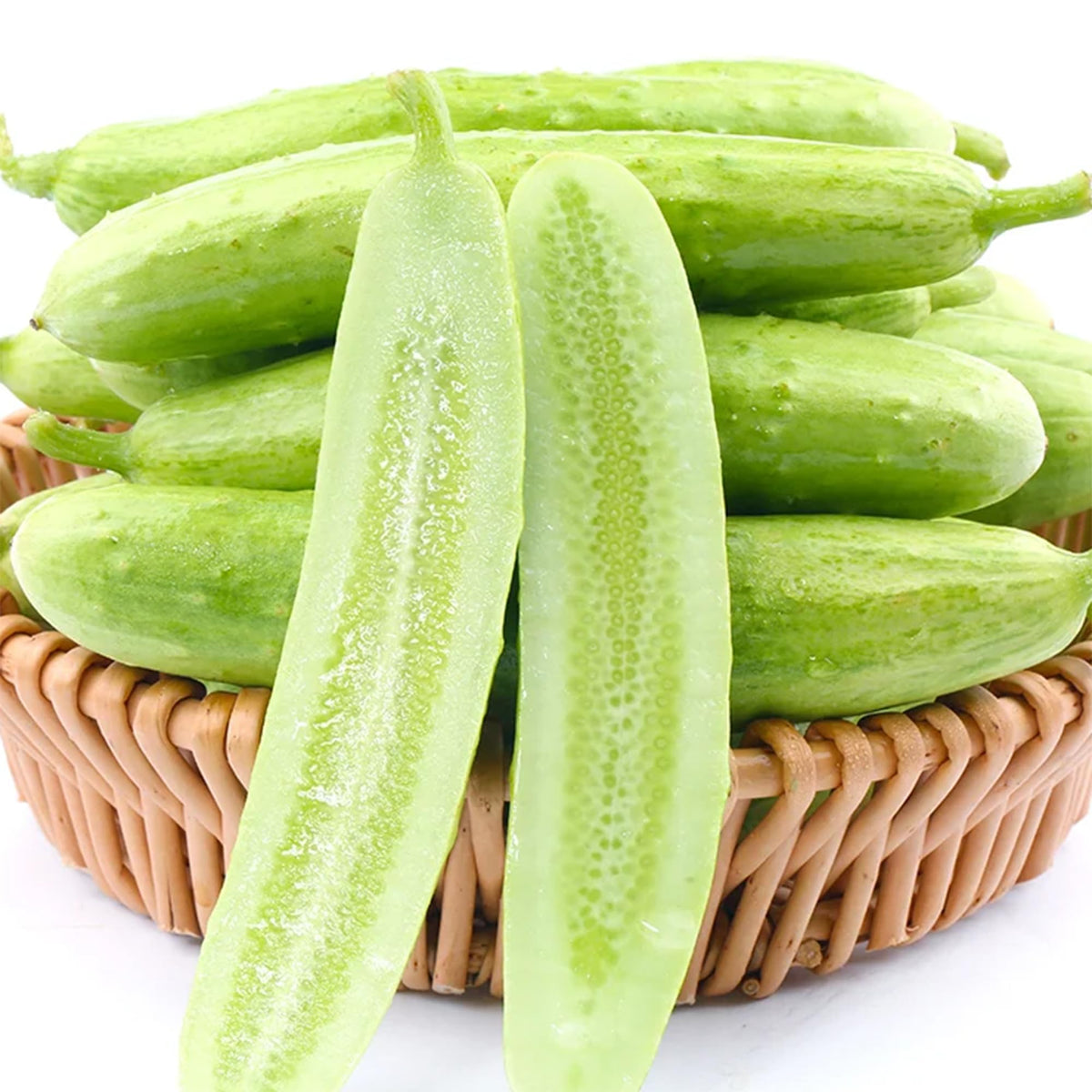 Mixrug White Jade cucumber seeds germination close-up suggests strong start for beginners