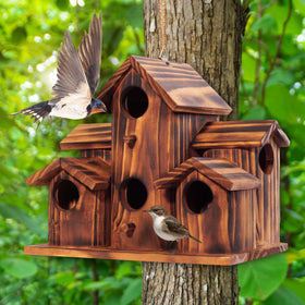 Mixumon 157-inch entrance holes for small backyard birds