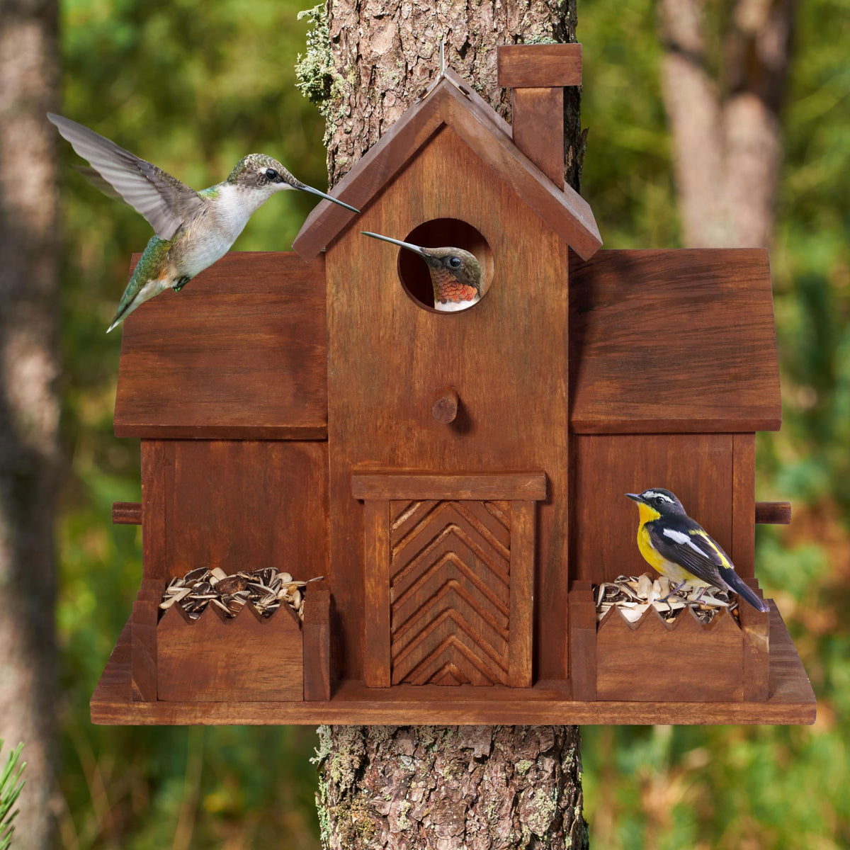 MIXUMON Bird house tree mount back view showing installation options