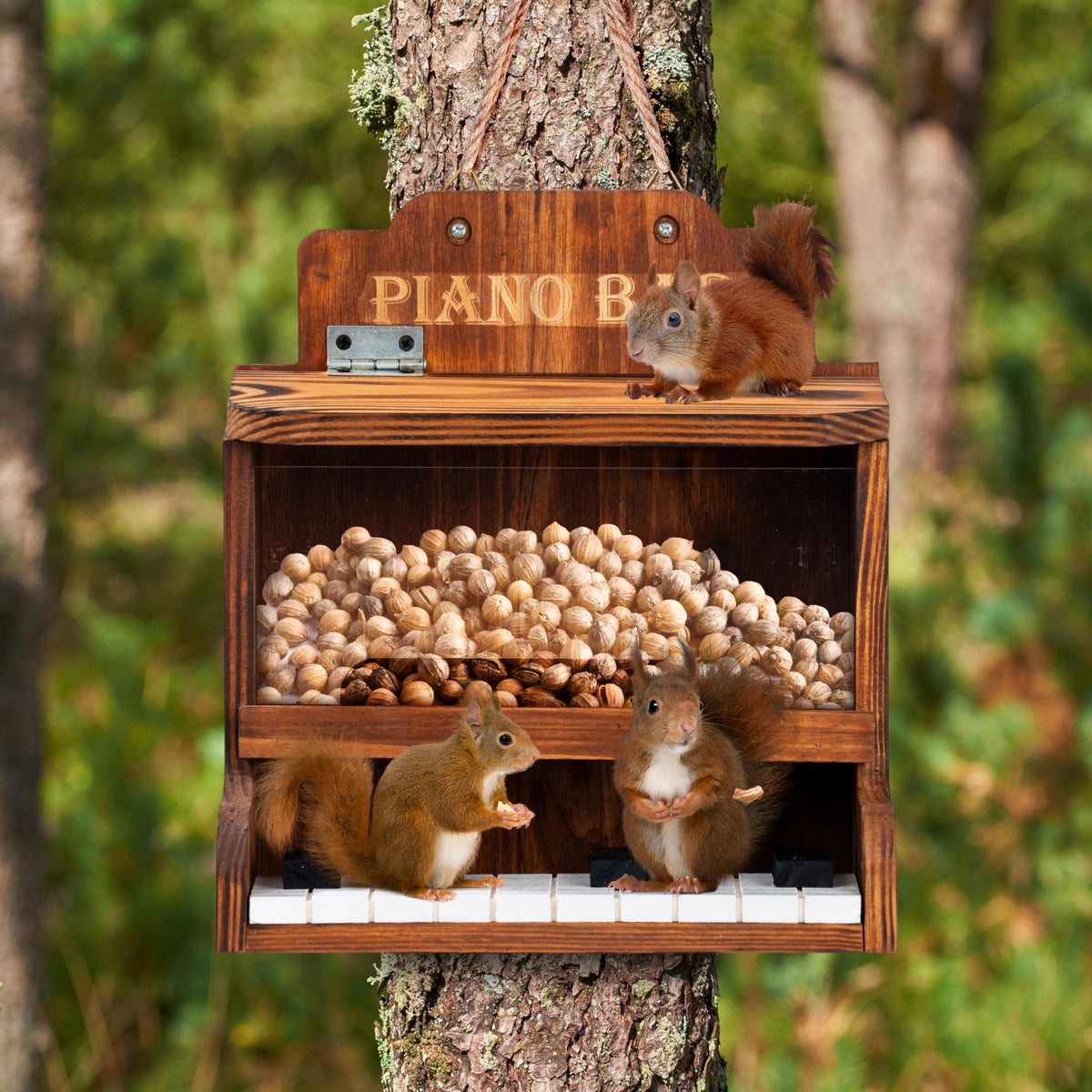 MIXUMON piano-key-perch demonstrates a unique perch that encourages feeding behavior.